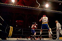 boxingswedenrussia08