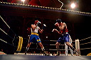 boxingswedenrussia09