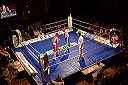 boxingswedenrussia17