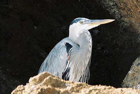 galapagos-ecuador07.jpg