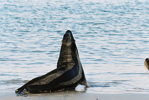 galapagos-ecuador31.jpg