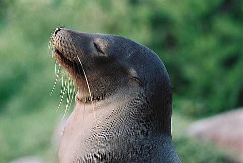 galapagos-ecuador33.jpg