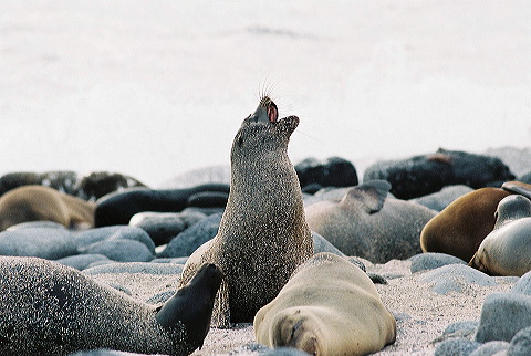 galapagos-ecuador34.jpg