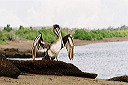 galapagos-ecuador12