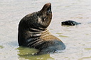 galapagos-ecuador17